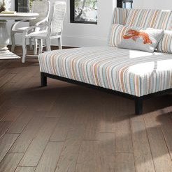 Services from H&T Carpet in Madison, and Clarksville, TN