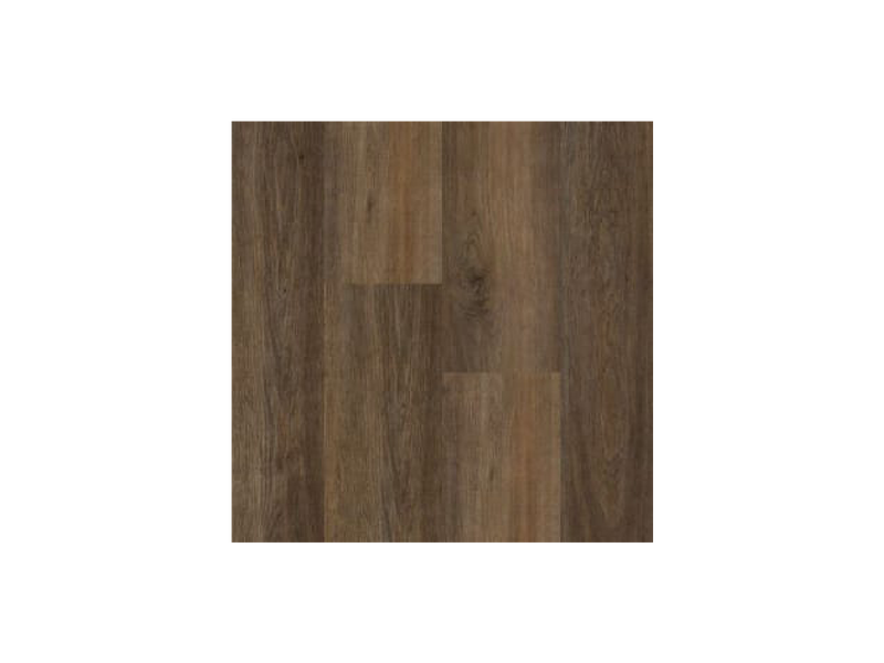 happyfeet_mustang_hf493_autumn_overhead